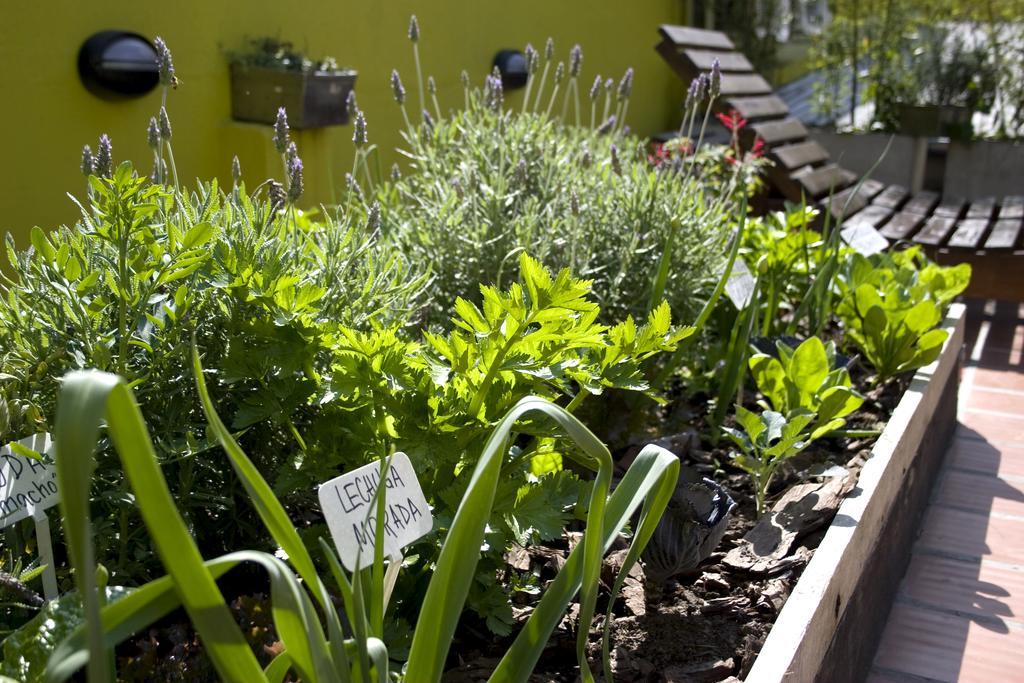 בואנוס איירס Eco Pampa Palermo Hostel מראה חיצוני תמונה